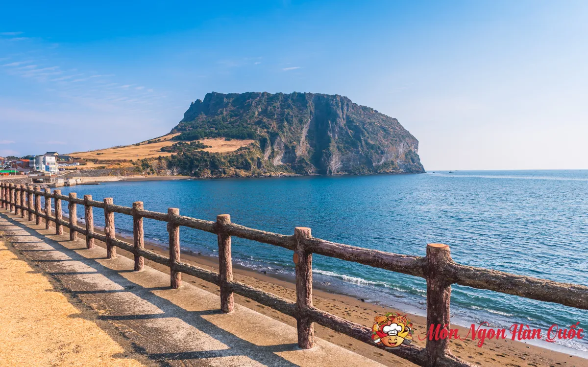 Du Lịch Đảo Jeju Có Cần Visa Không? Hướng Dẫn Mới Nhất